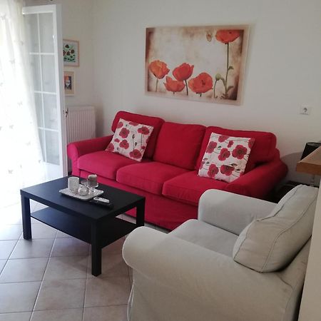 Sunny Stay Furnished Apartment In Kanoni Esterno foto