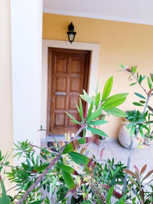 Sunny Stay Furnished Apartment In Kanoni Esterno foto